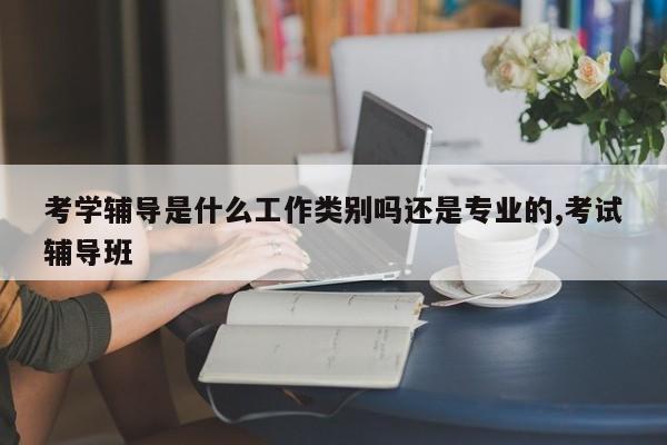 考学辅导是什么工作类别吗还是专业的,考试辅导班